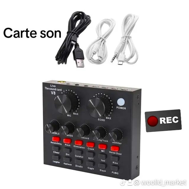Kit Microphone d'enregistrement audio