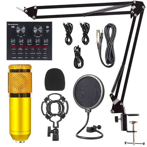 Kit Microphone d'enregistrement audio